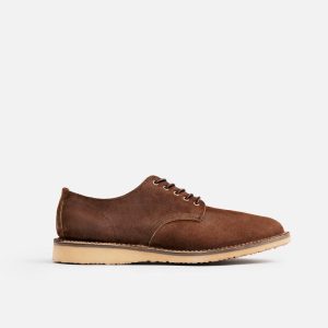 Weekender Oxford - 3606 Chocolate Muleskinner